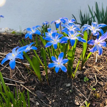 Ferienhaus Villach *