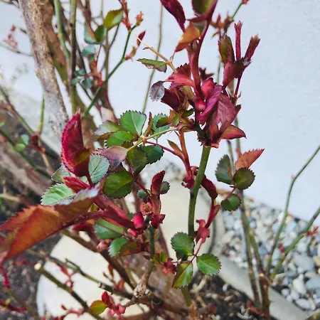 Ferienhaus Villach Casa de Férias